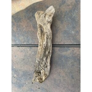 Natural Driftwood for Plants Terrarium Taxidermy Art Projects